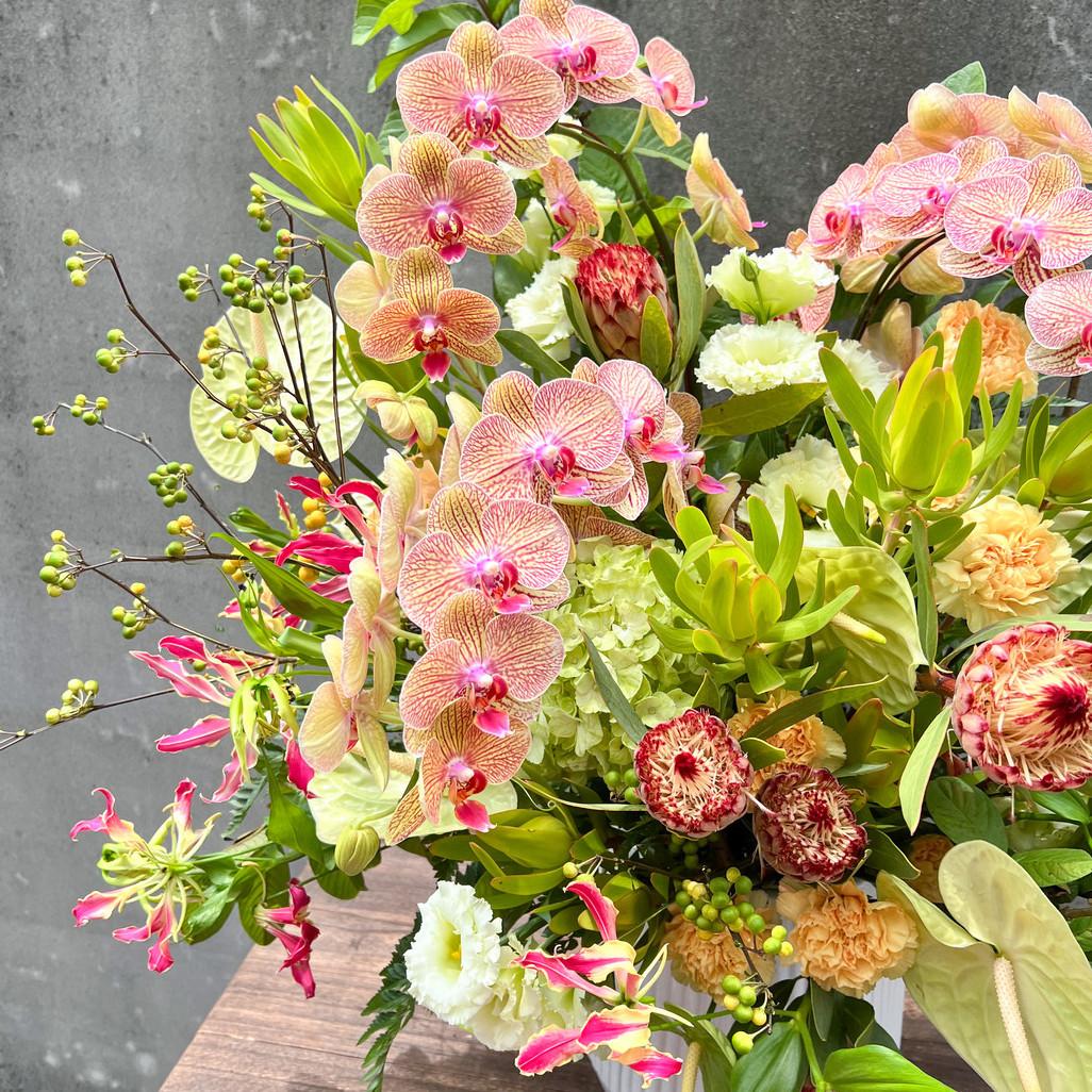 IMG_1414 - 複製-fotor-20251211143028